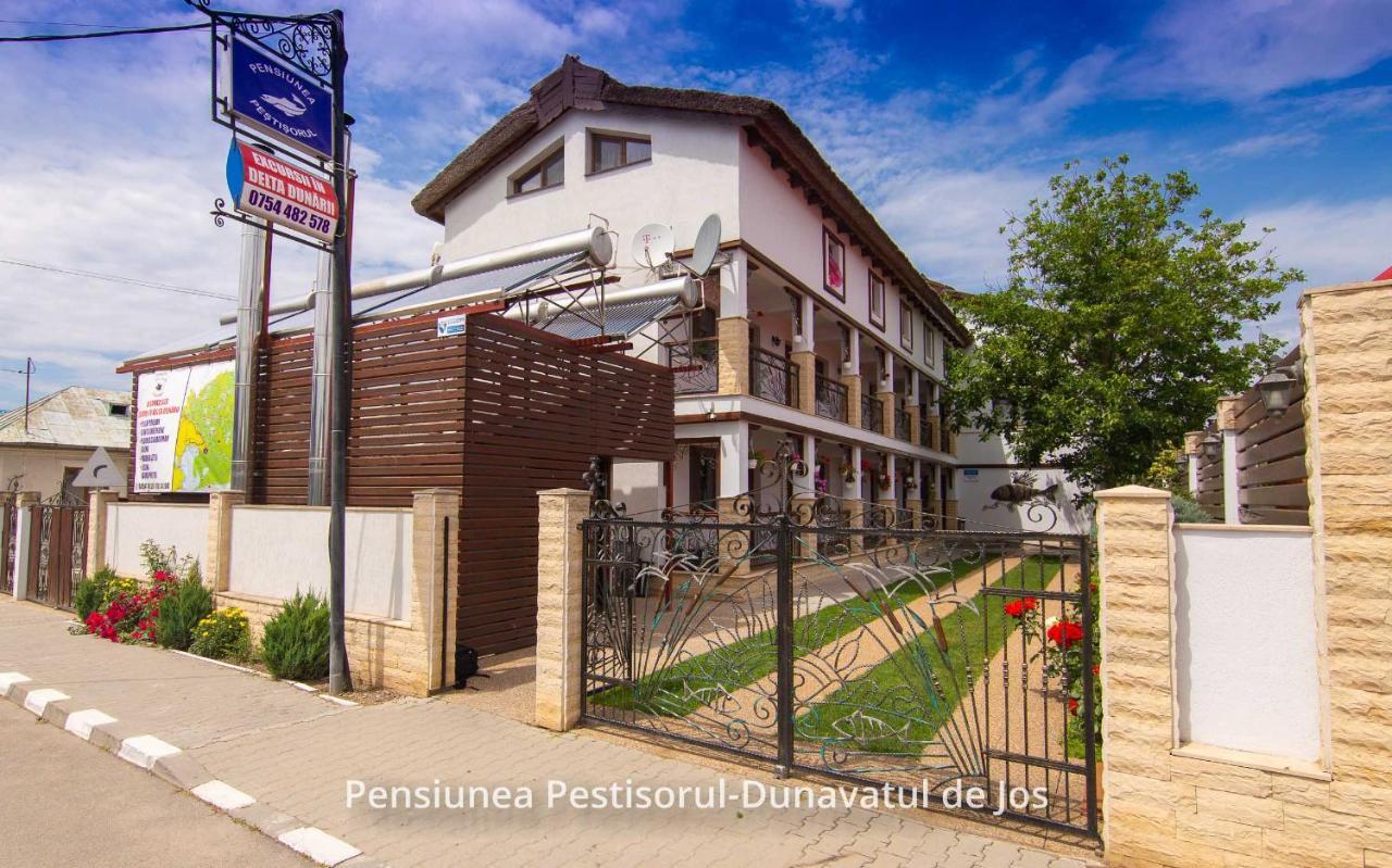 Pensiunea Pestisorul Dunavatu de Jos Luaran gambar