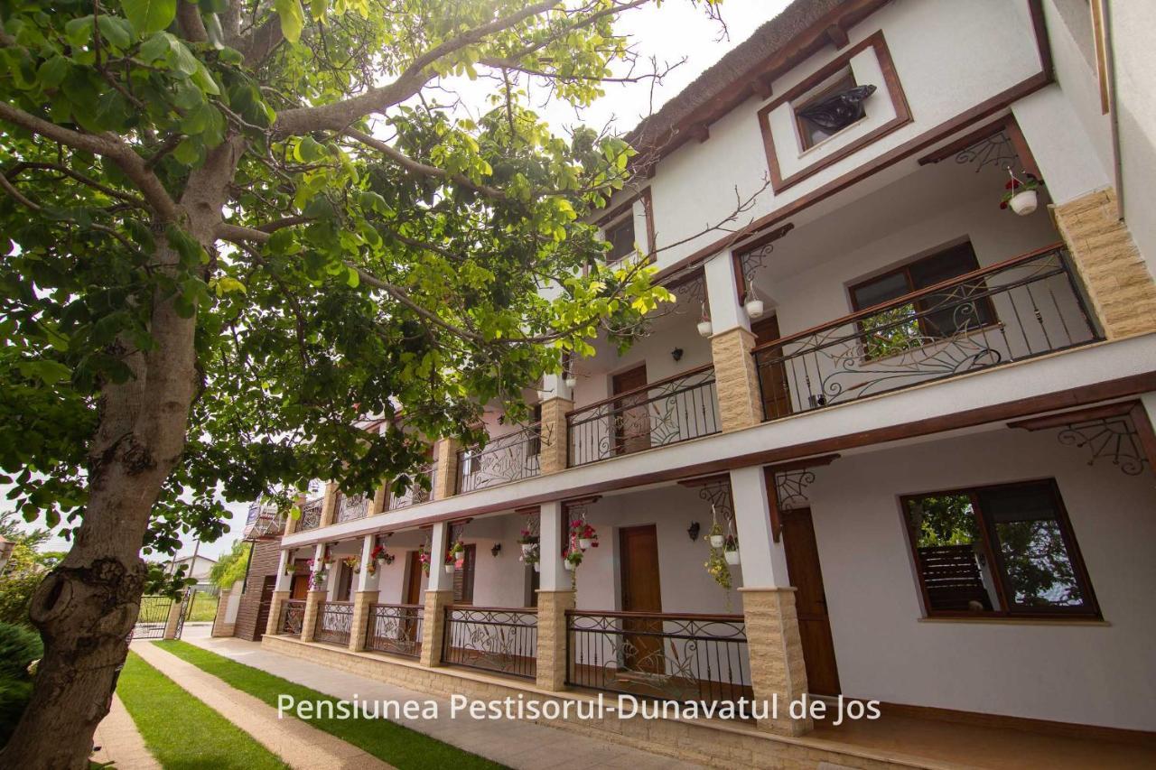 Pensiunea Pestisorul Dunavatu de Jos Luaran gambar