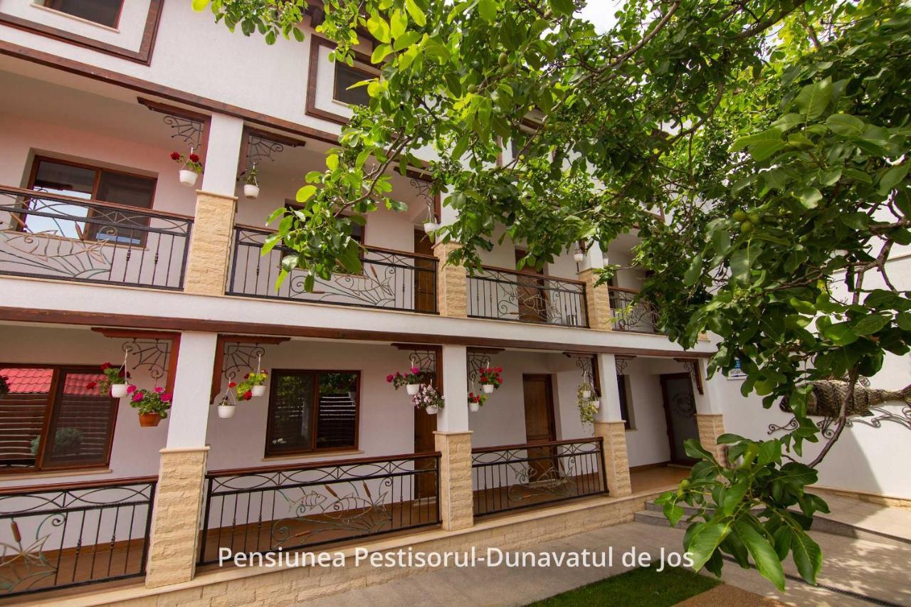 Pensiunea Pestisorul Dunavatu de Jos Luaran gambar