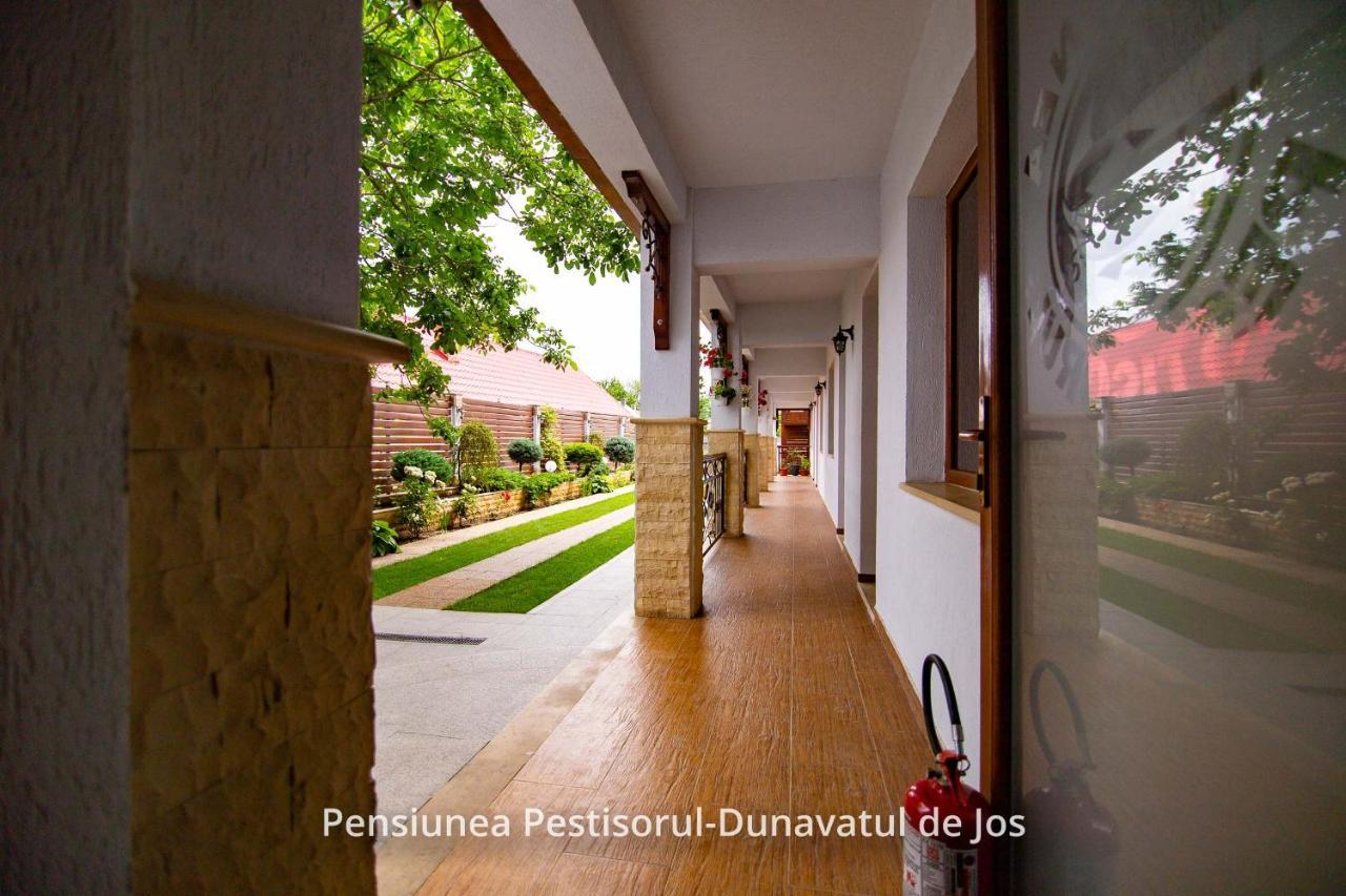 Pensiunea Pestisorul Dunavatu de Jos Luaran gambar