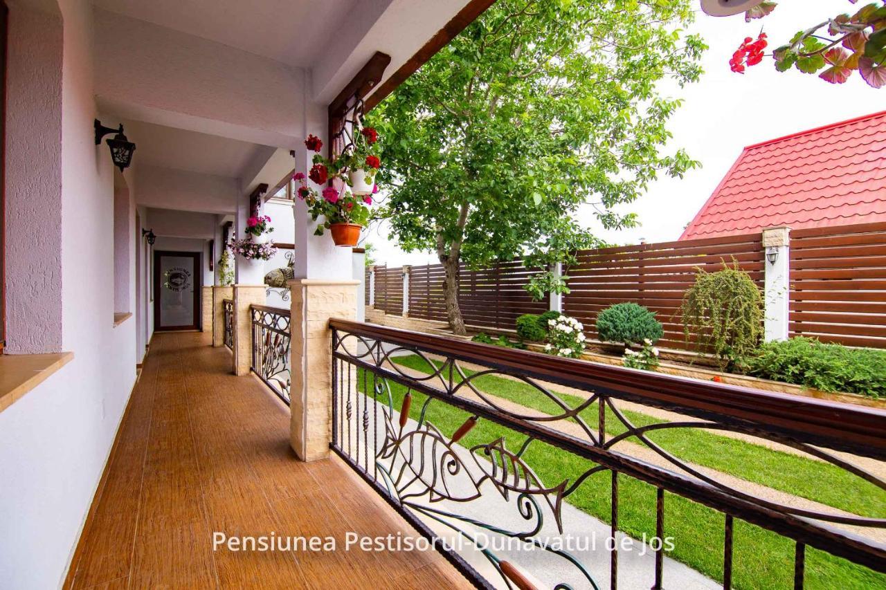 Pensiunea Pestisorul Dunavatu de Jos Luaran gambar