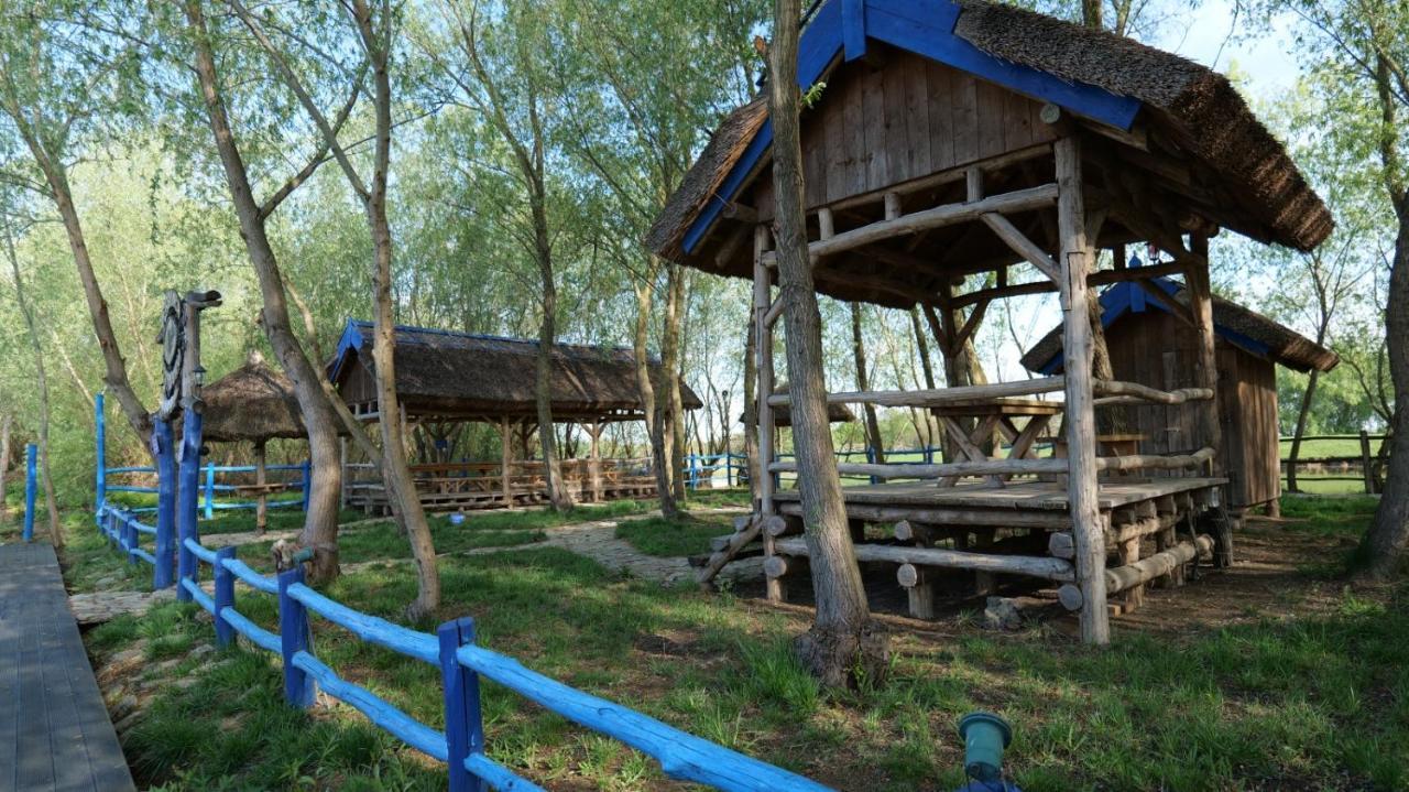 Pensiunea Pestisorul Dunavatu de Jos Luaran gambar