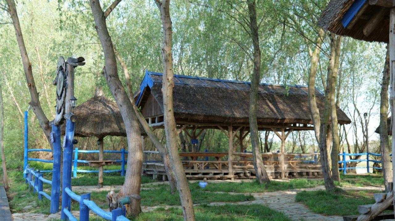 Pensiunea Pestisorul Dunavatu de Jos Luaran gambar